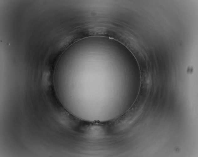 X0000103330224200809051217