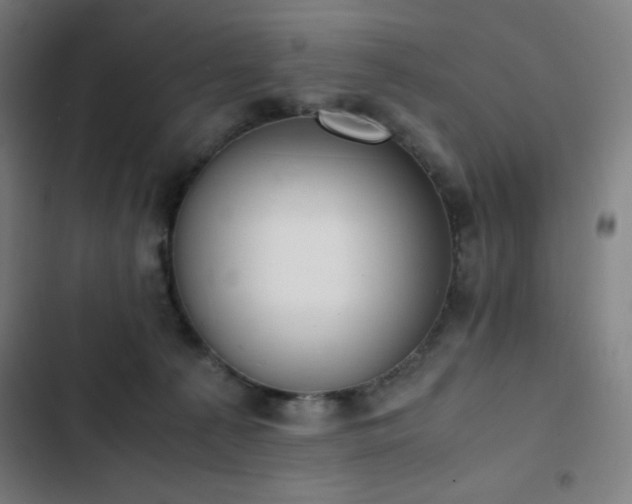 X0000103330225200809051217