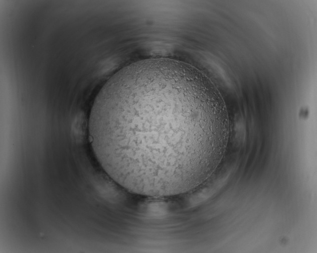 X0000103330228200809051217