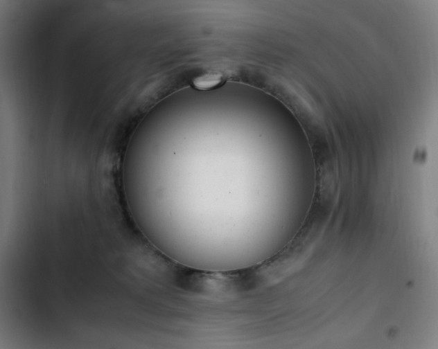 X0000103330229200809051217