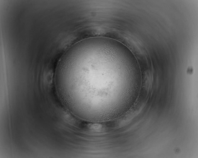 X0000103330230200809051217