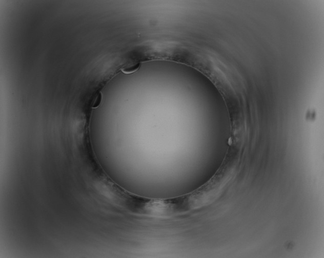 X0000103330231200809051217