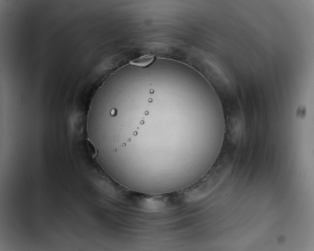 X0000103330232200809051217