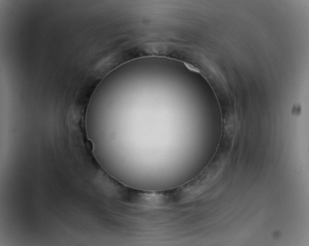 X0000103330233200809051217