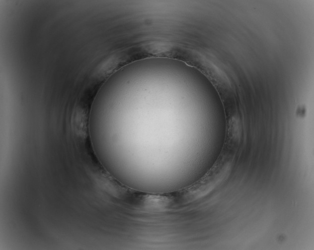 X0000103330234200809051217