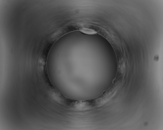 X0000103330235200809051217