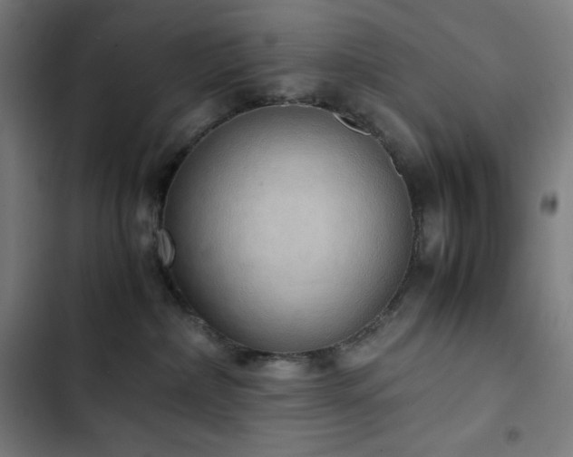 X0000103330236200809051217