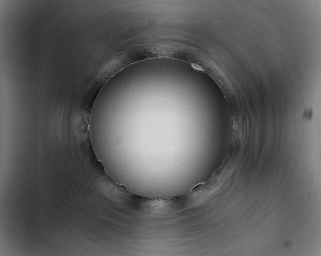 X0000103330237200809051217