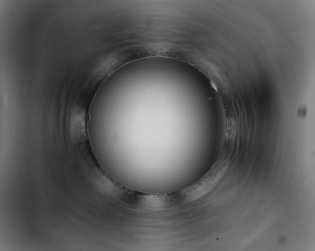 X0000103330238200809051217