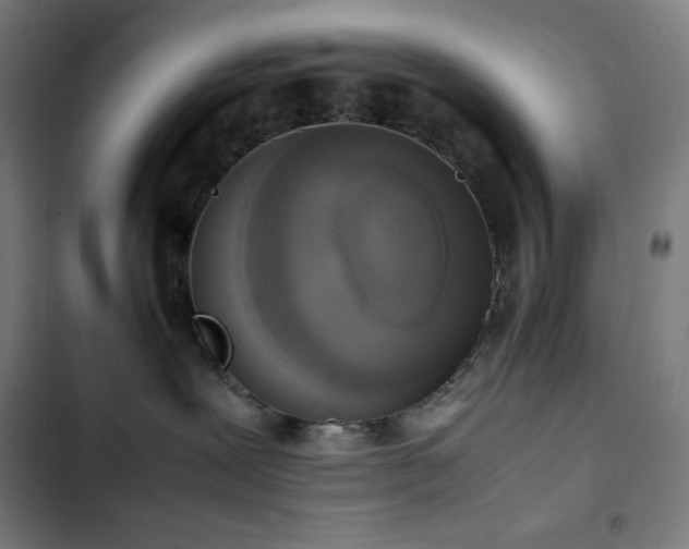 X0000103330239200809051217