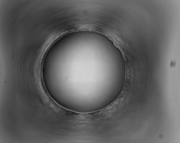 X0000103330241200809051216