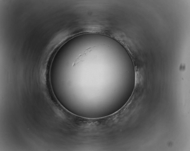 X0000103330243200809051216