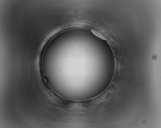 X0000103330244200809051216