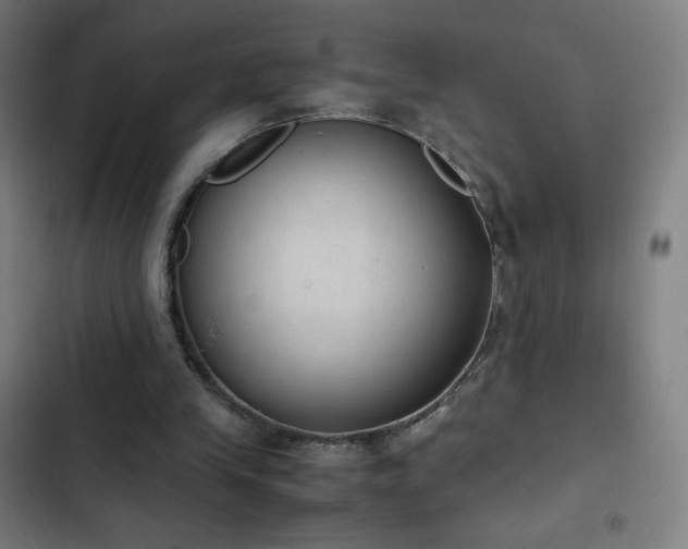 X0000103330245200809051216