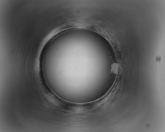 X0000103330246200809051216