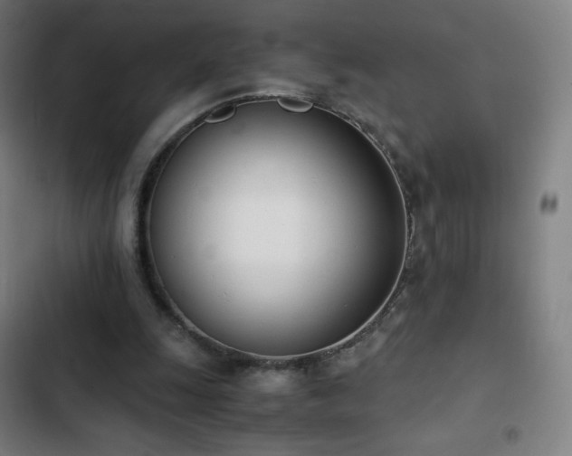 X0000103330247200809051216