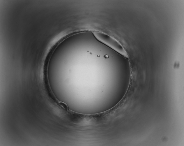 X0000103330248200809051216