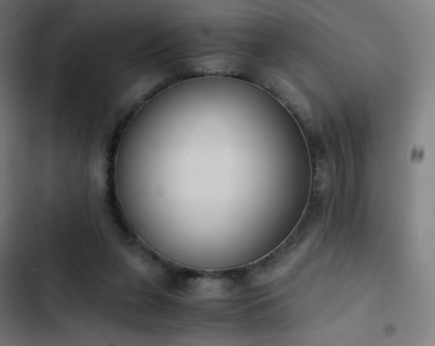 X0000103330255200809051217