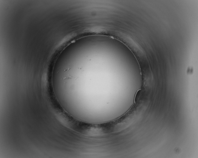 X0000103330256200809051217