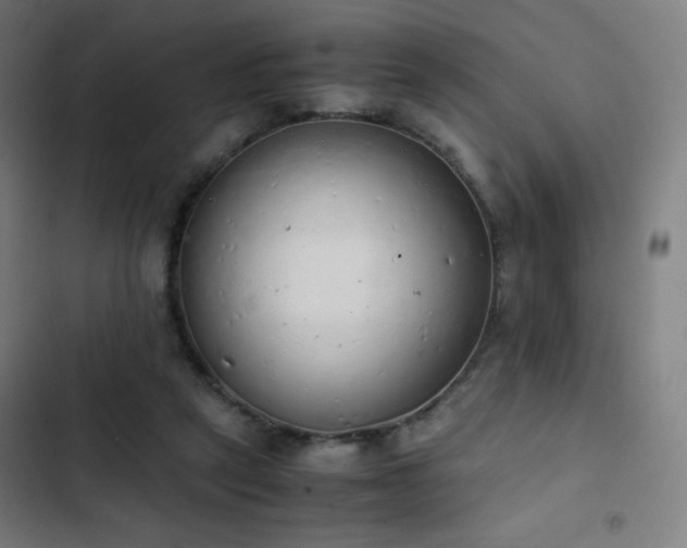 X0000103330257200809051217