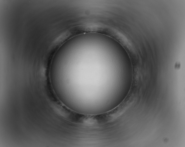 X0000103330258200809051217