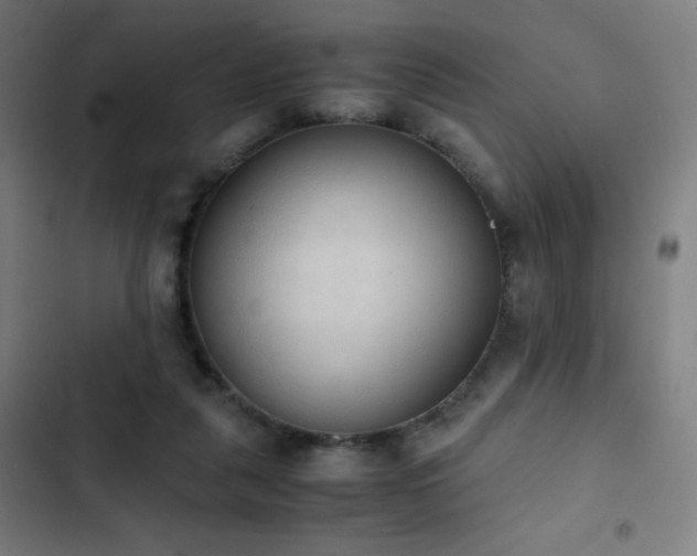 X0000103330259200809051217