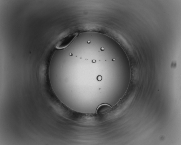 X0000103330260200809051217