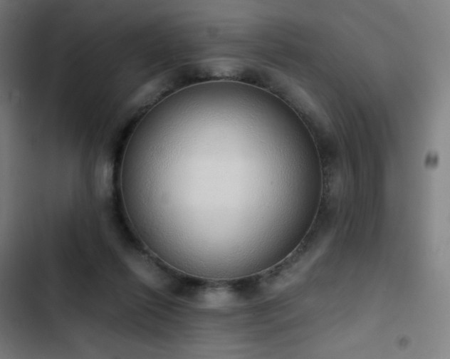 X0000103330262200809051217