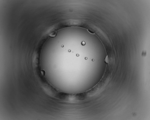 X0000103330264200809051217