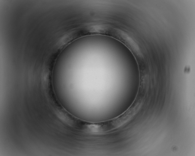 X0000103330265200809051217