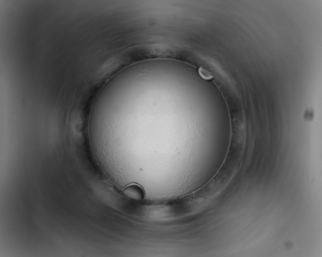 X0000103330266200809051217