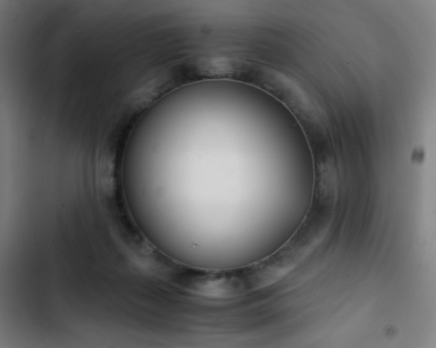 X0000103330267200809051217