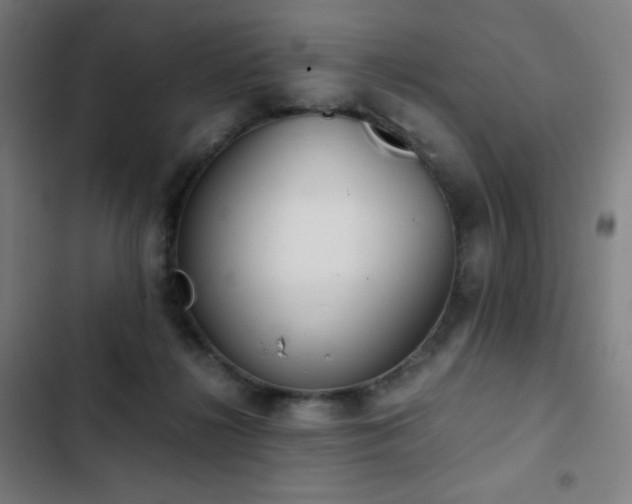 X0000103330268200809051217