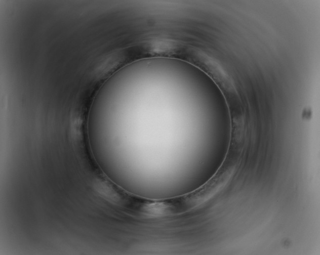 X0000103330269200809051217