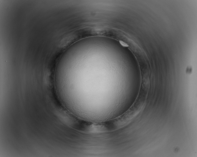 X0000103330270200809051217