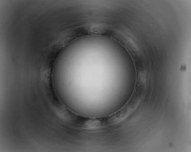 X0000103330271200809051217