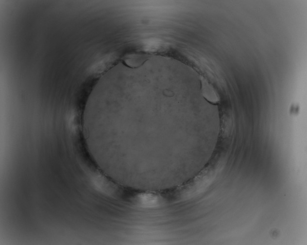 X0000103330272200809051217