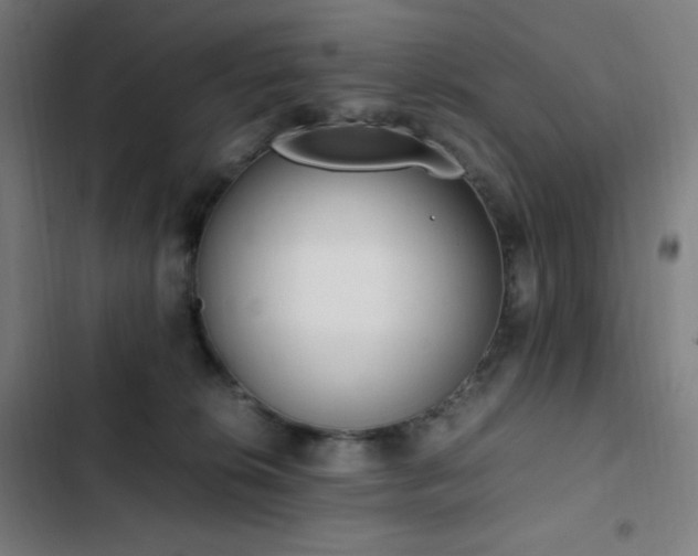 X0000103330276200809051217