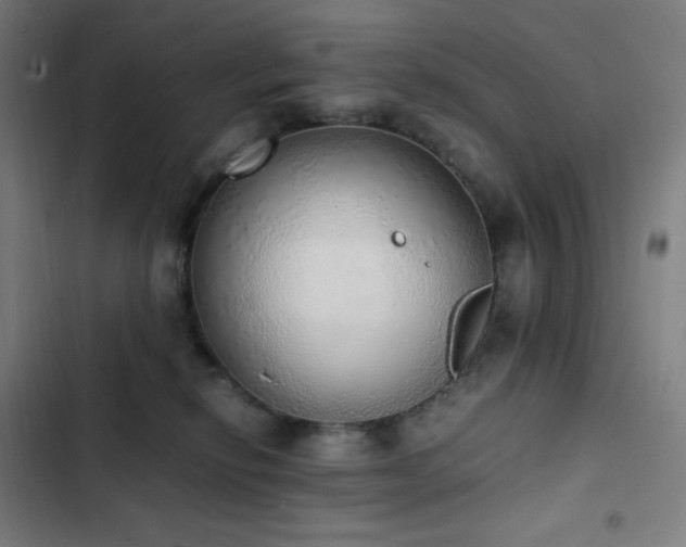 X0000103330278200809051217