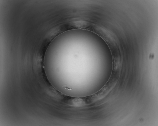 X0000103330279200809051217