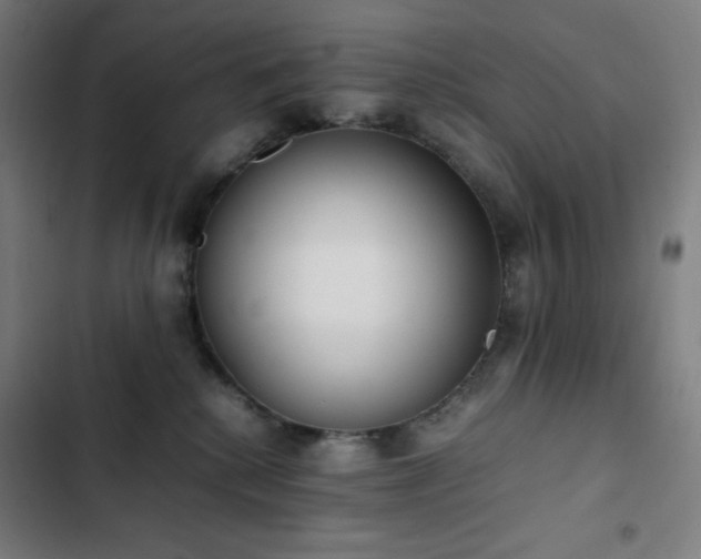 X0000103330280200809051217