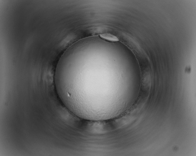 X0000103330282200809051217