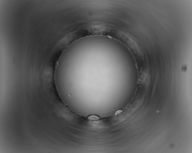 X0000103330283200809051217