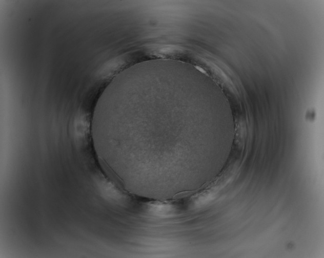 X0000103330284200809051217