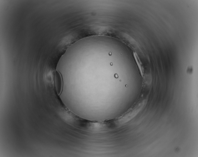 X0000103330286200809051217