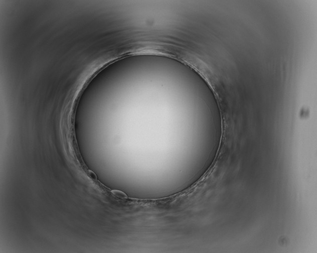 X0000103330289200809051216