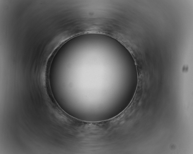 X0000103330290200809051216