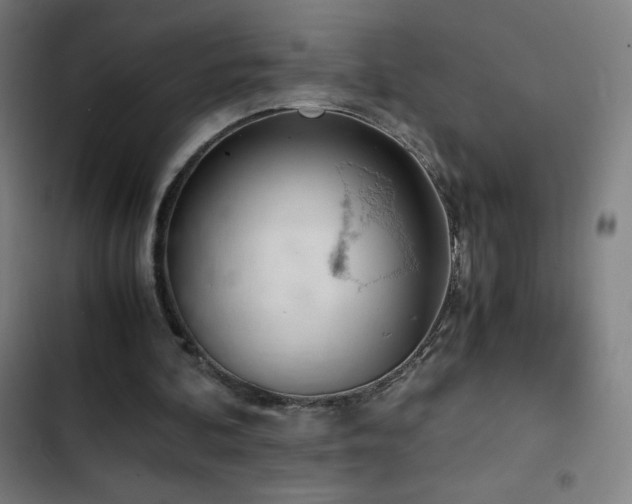 X0000103330292200809051216