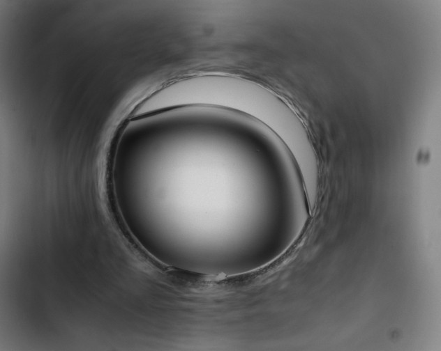 X0000103330293200809051216