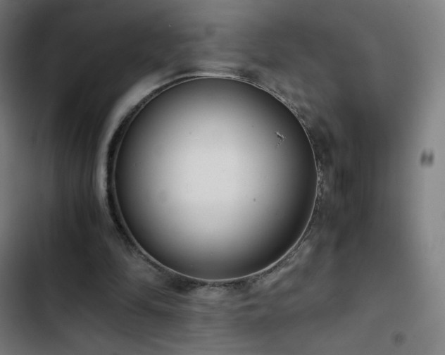 X0000103330294200809051216